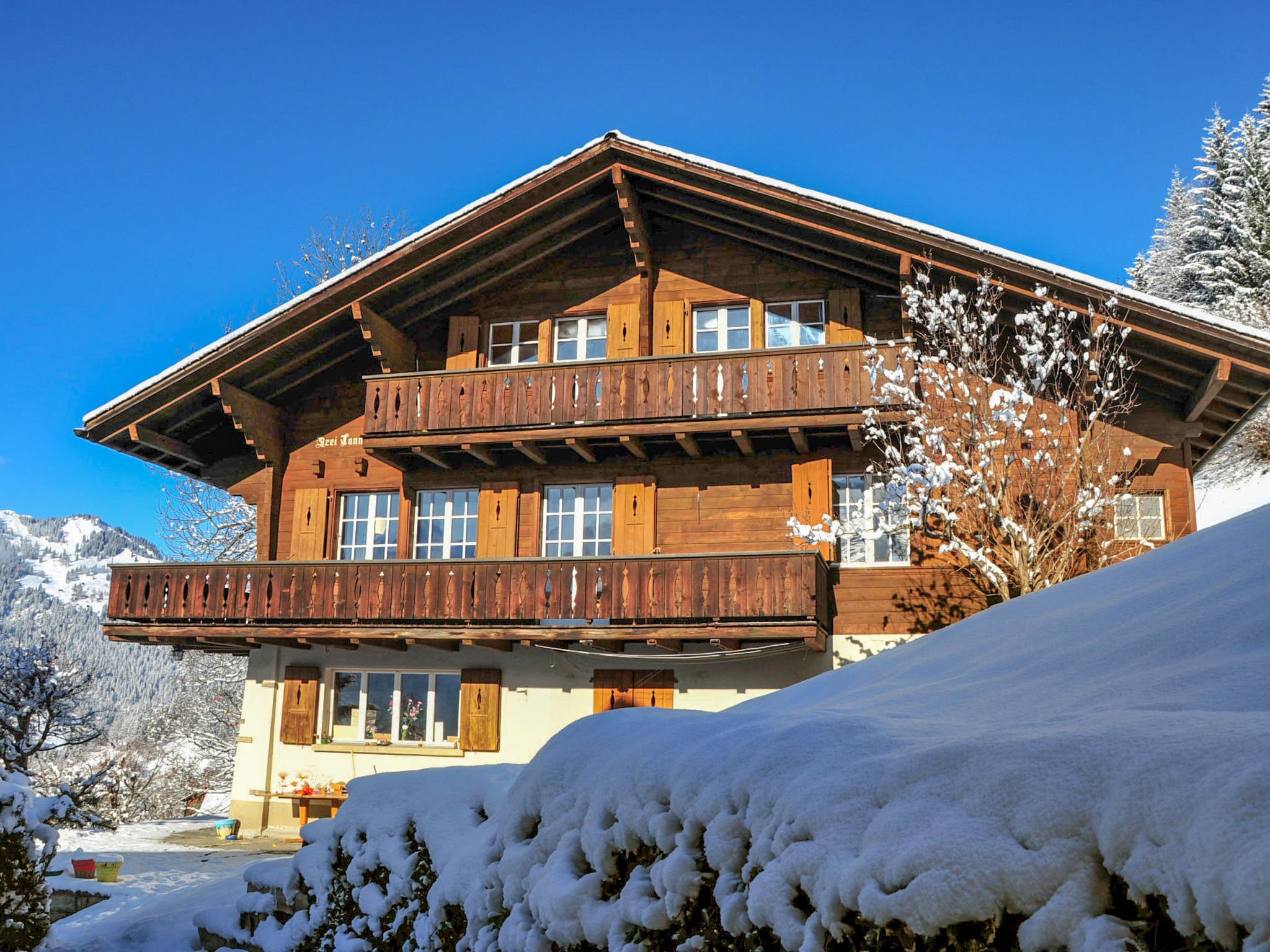 Appartement Drei Tannen