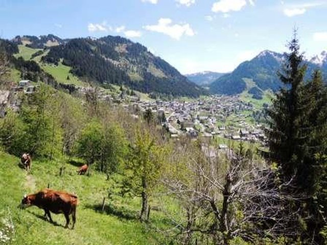 Résidence CHALETS DE BARBESSINE - Châtel