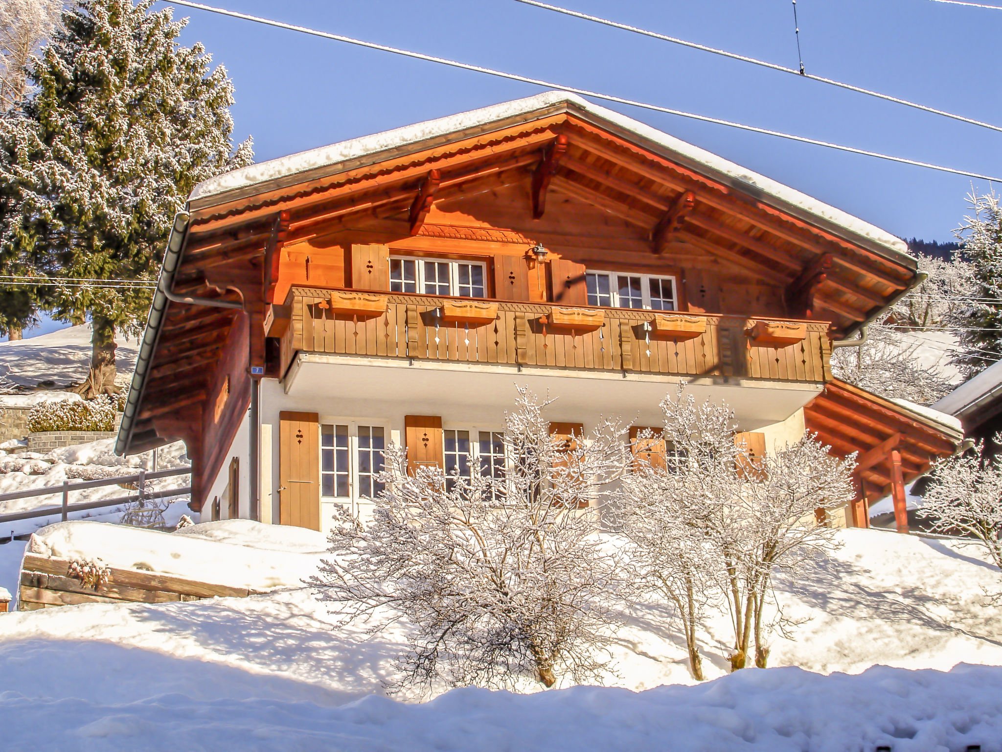 Appartement Chalet Reinhysi