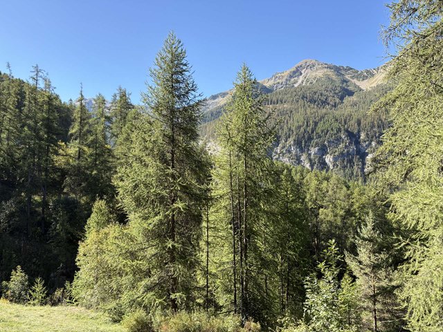 Appartement Les Flocons 469 - Les Orres