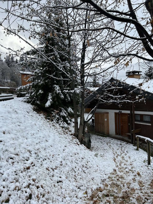 Chalet Manekineko MRB000-068 - Méribel Centre 1600 