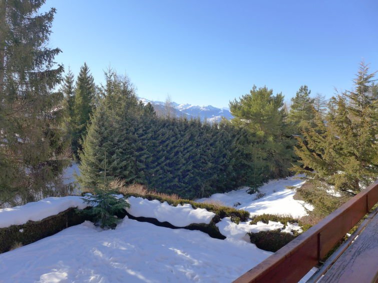 Appartement Soldanella