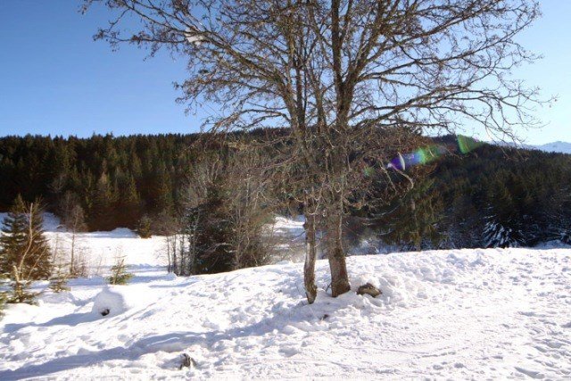 Appartement Hameau Des Biches MRB380-014H - Méribel Village 1400