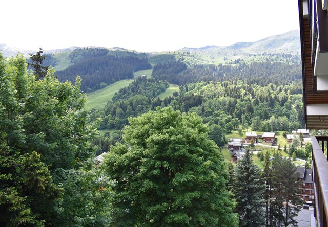 Appartement Edelweiss MRB250-019 - Méribel Centre 1600 