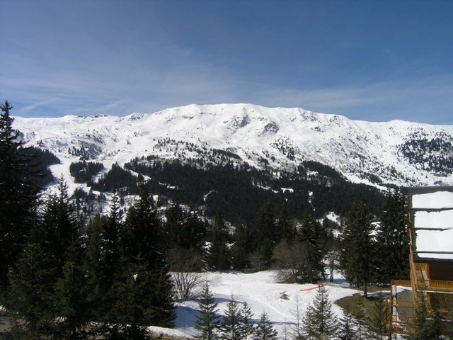 Appartement Forêt MRB290-020 - Méribel Centre 1600 