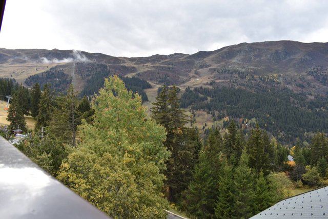 Appartement Forêt MRB290-038 - Méribel Centre 1600 