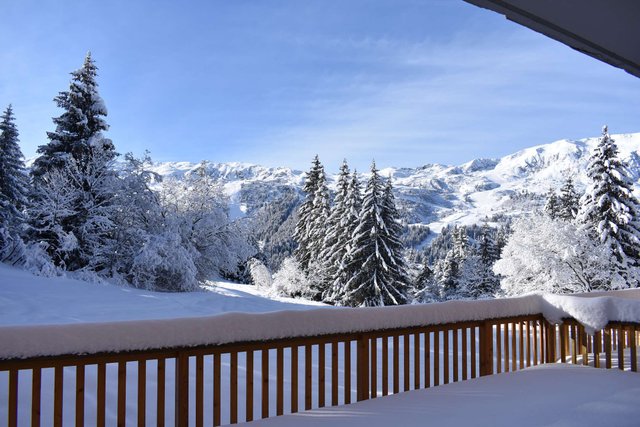 Appartement Gelinotte MRB310-002 - Méribel Centre 1600 