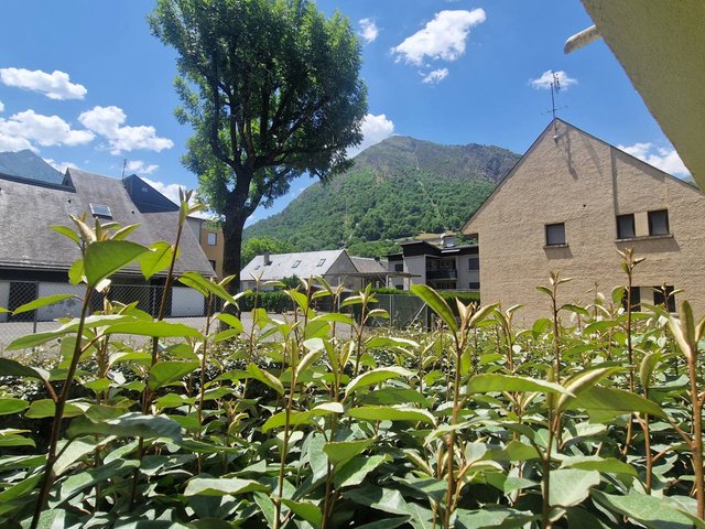 Résidence AURETTE:PIC LONG - Saint Lary Soulan
