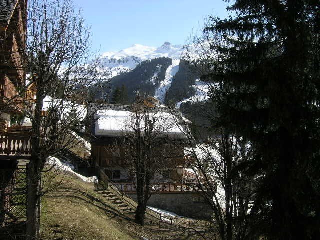 Appartement Edelweiss MRB250-016 - Méribel Centre 1600 