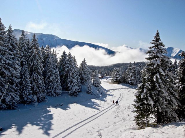 Résidence L'OLYMPIC - Chamrousse