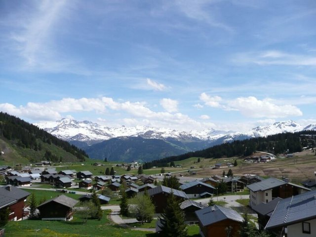 Résidence JARDIN ALPIN - DORONICS - Les Saisies
