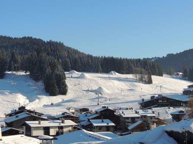 CHALET GRENIER DE LA COMBE - Les Gets