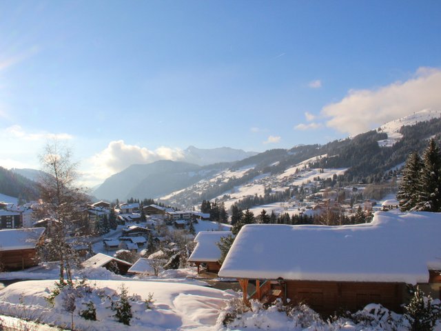 CHALET LES SAUVAGEONS - Les Gets