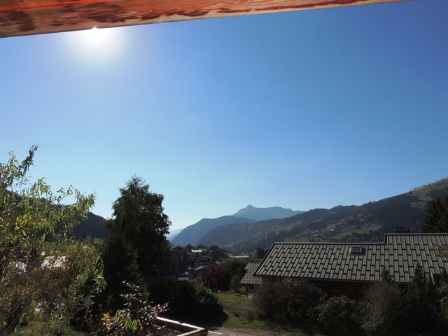 CHALET LES SAUVAGEONS - Les Gets