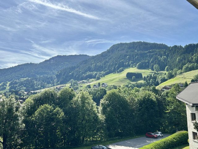 Résidence RIANTE COLLINE DU BAS - ARMOISE - Megève