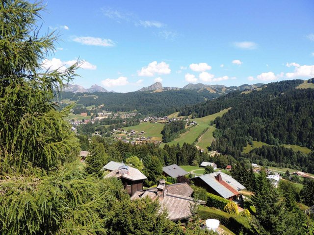 CHALET CARRER'ALPES - Les Gets