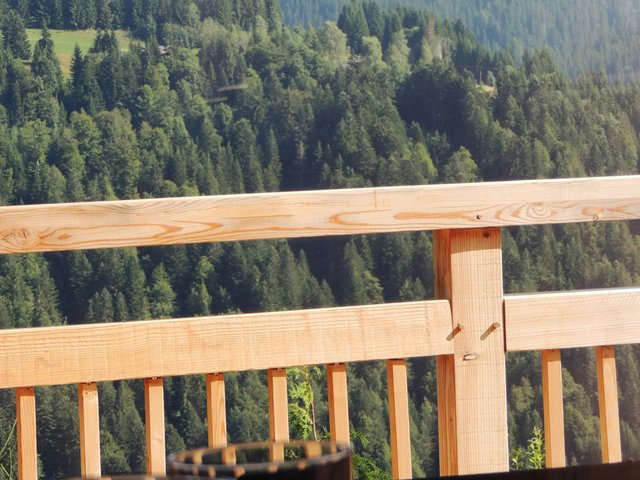 CHALET CARRER'ALPES - Les Gets