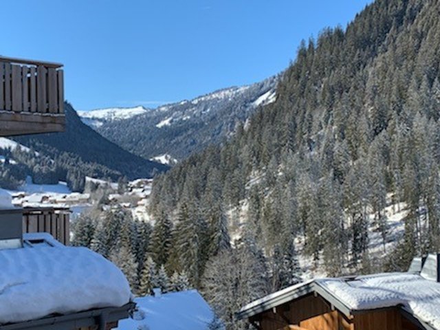 Résidence CHALET DES FREINETS - Châtel