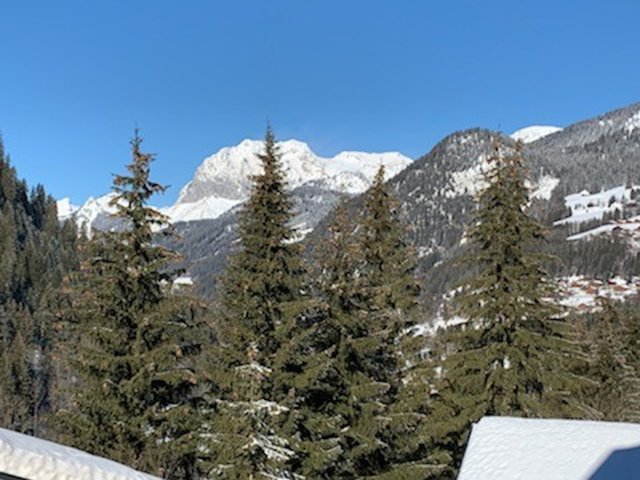 Résidence CHALET DES FREINETS - Châtel