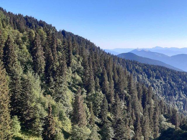 Résidence LE VERNON - Chamrousse