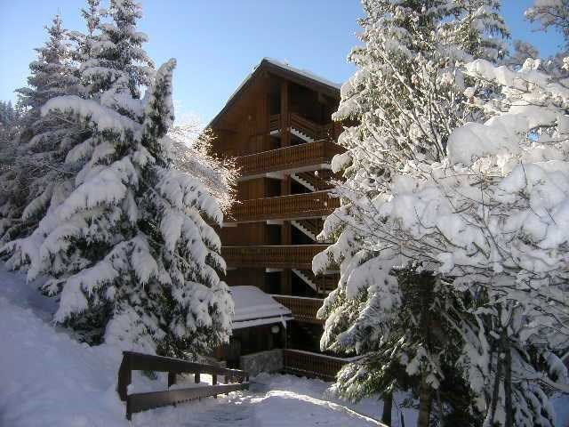 Appartement Ours Brun MRB480-009H - Méribel Centre 1600 
