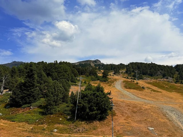 Résidence LES CYTISES - Chamrousse