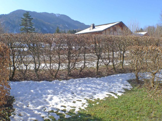 Résidence CHALET LE GRAND MASSIF - Samoëns