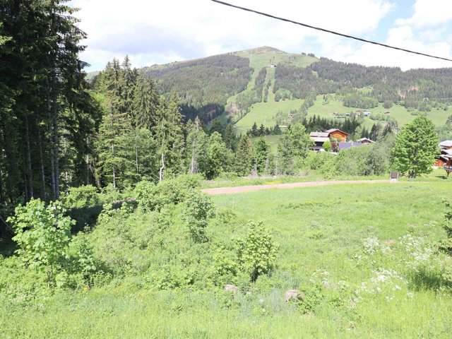 Chalet LE CHOUNOURS - Les Gets