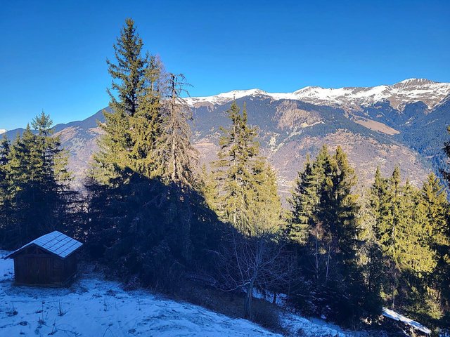 Résidence BRIGUES - ENTREE B - BAS - Courchevel 1550
