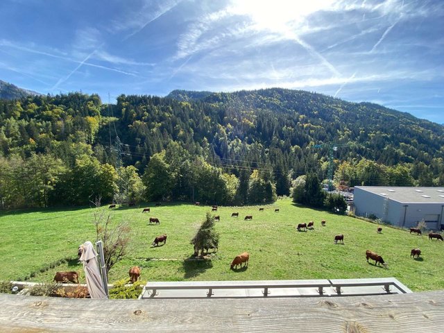 Résidence LES PRIMEVERES - Le Grand Bornand