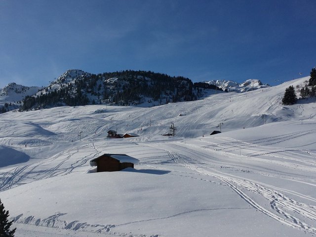 VOLETS BLEUS RESIDENCES - Courchevel 1650