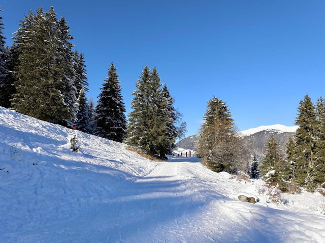 Résidence LE BOIS JOLI - Courchevel 1550