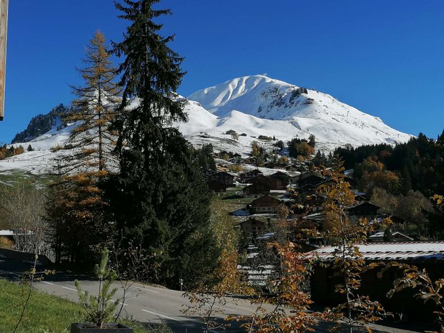 Les Chalets Du Diamant Noir CH600-01 - Le Grand Bornand