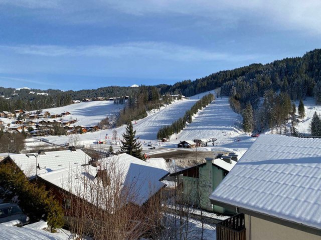 RESIDENCE LES CHALETS CARLINE - Les Gets