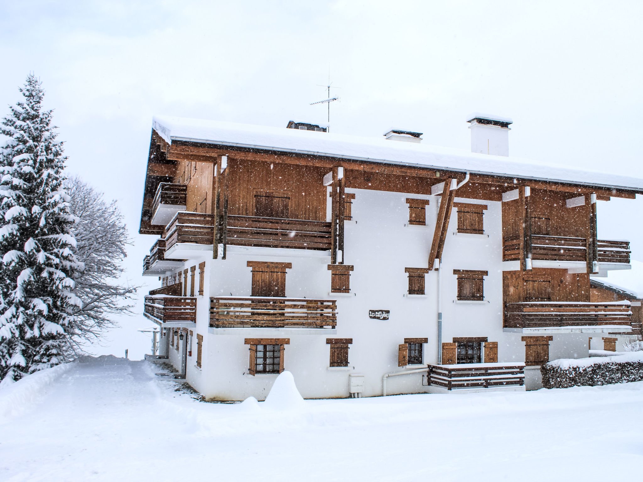 Appartement Les Collybies