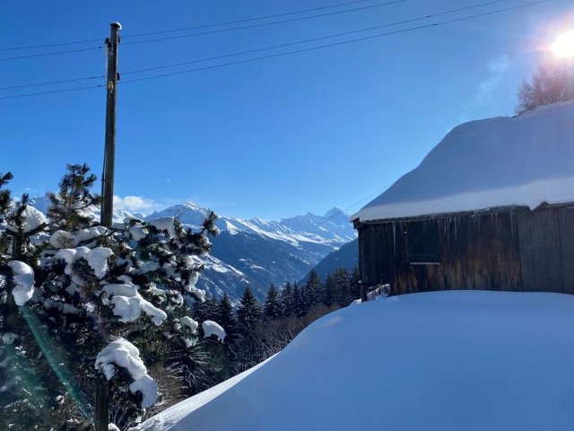 Appartement Les Gentianes - Thyon