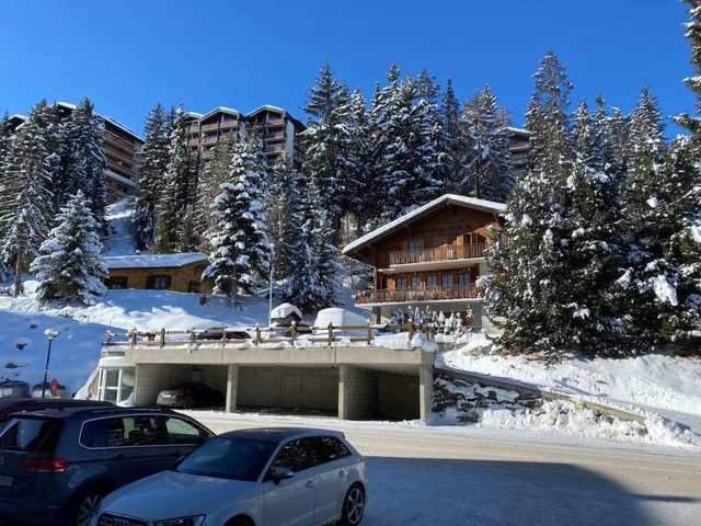 Appartement Les Gentianes - Thyon