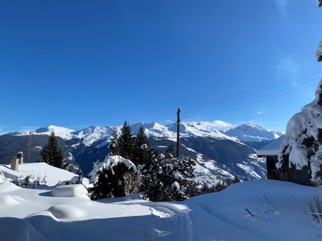 Appartement Les Gentianes - Thyon