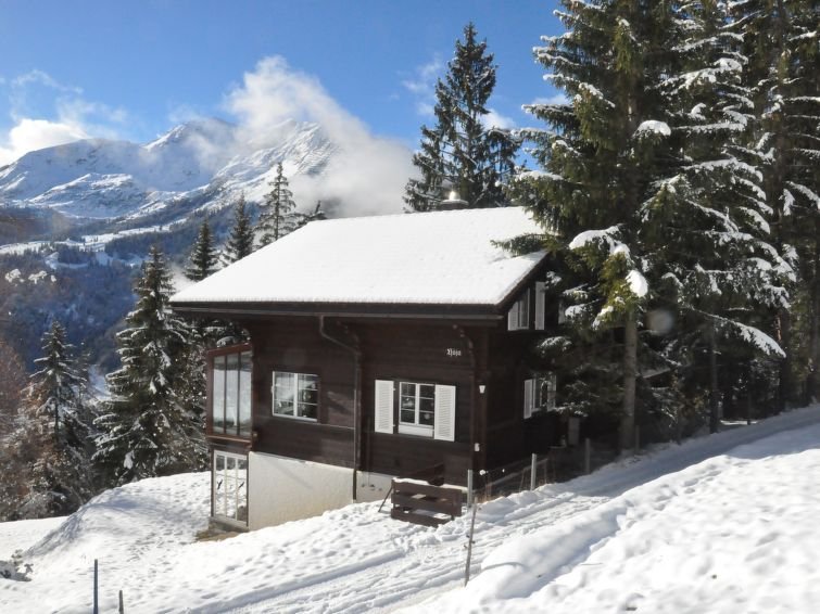 Châlet Chalet Hoja