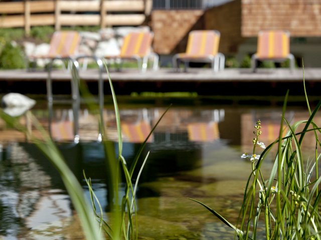Résidence de Tourisme mit 1 Schlafzimmer für 6 Personen - Kitzbuhel