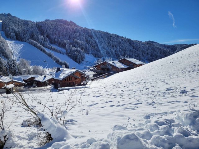 Résidence CHALET LES PERRIERES - Les Gets
