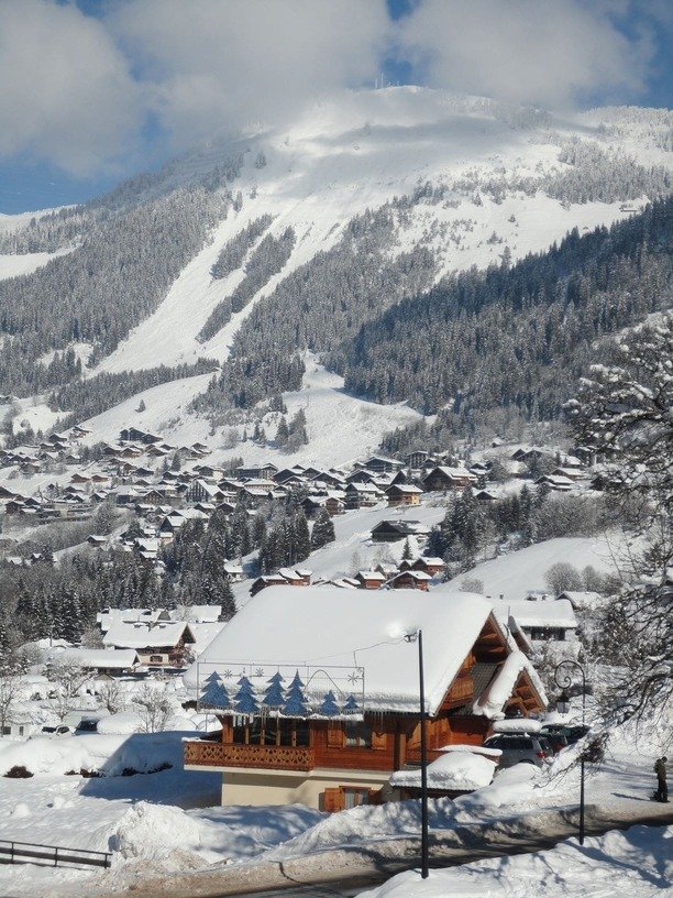Demi-chalet La Cabane Haut - Châtel
