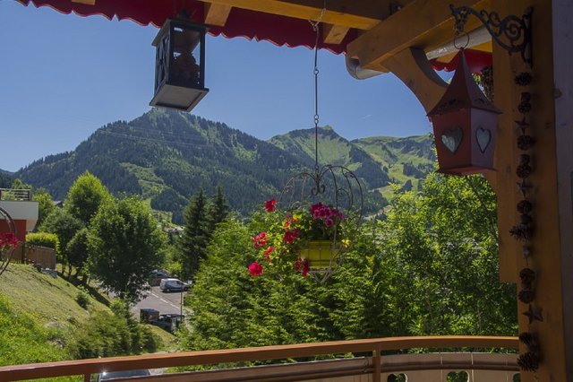 Chalet la Boule de Neige - Châtel