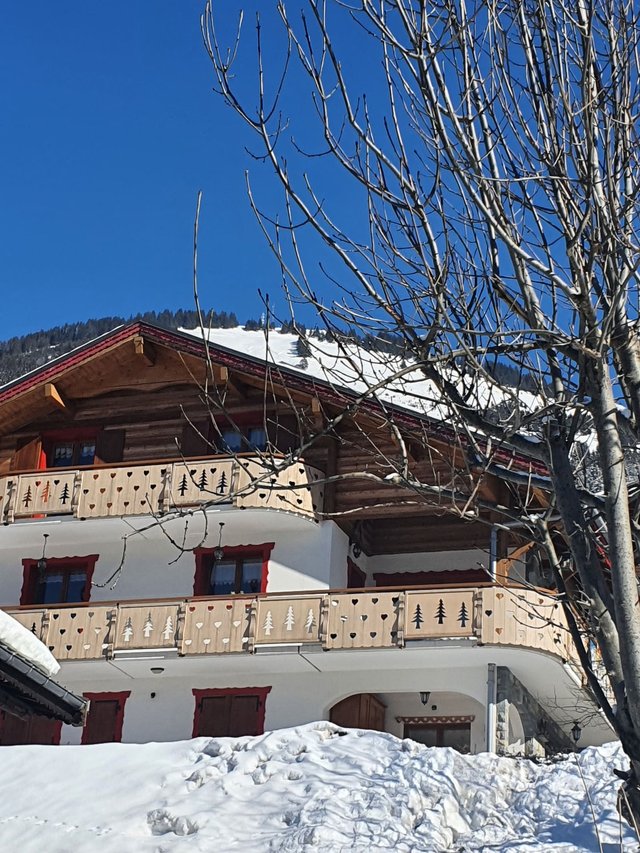 Chalet la Boule de Neige - Châtel