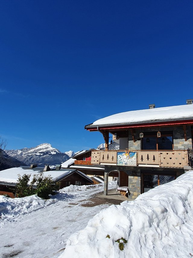 Chalet la Boule de Neige - Châtel