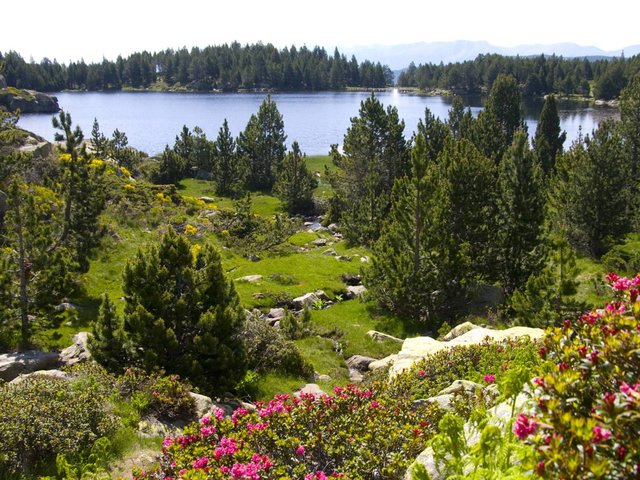 Résidence TATHOS - Font Romeu - Pyrénées 2000