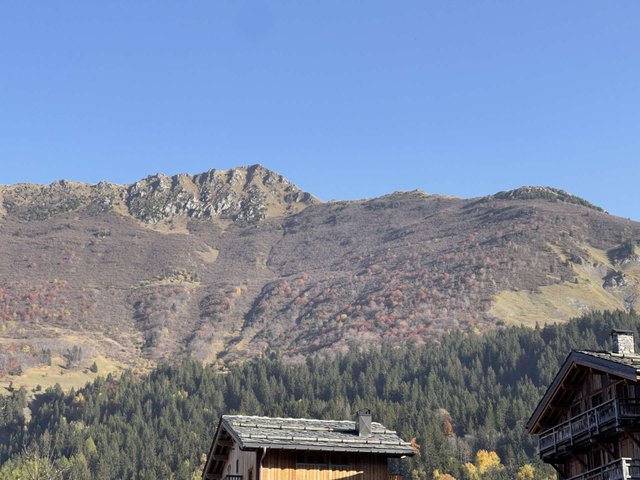 Appartement Buche  BUCHE04MOI - Valmorel