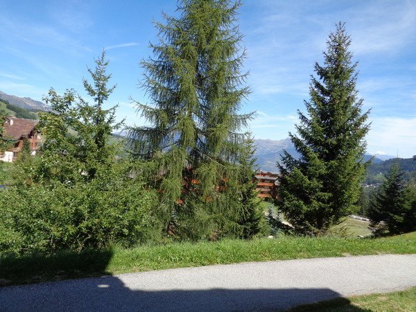 Appartement Teppes  TEP38BRU - Valmorel