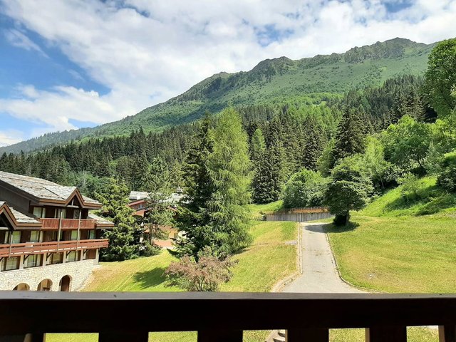 Appartement Cheval Blanc  CHBC45MEN - Valmorel