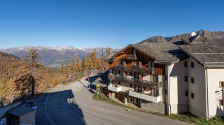 Appartements LE BALCON DES AIRELLES - Les Orres
